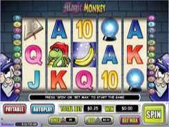 Magic Monkey